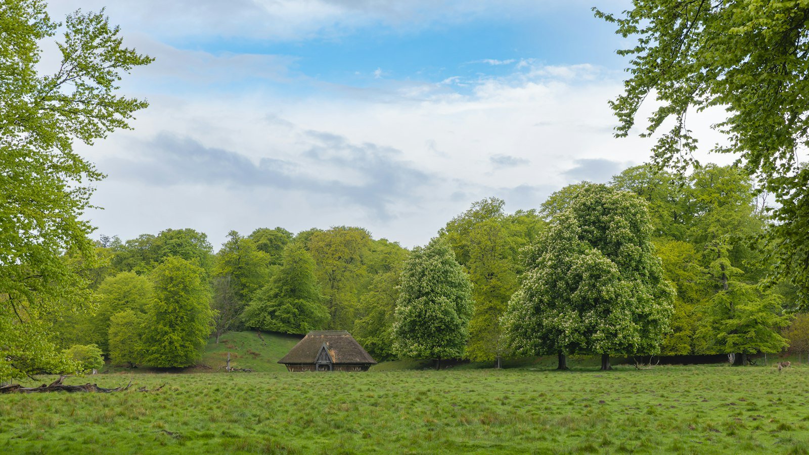 Stemningsbillede – langeland